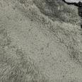 1240101794265_s6.jpg