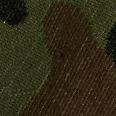 1240101794799_s6.jpg