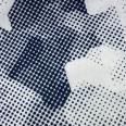 1240101796216_s6.jpg