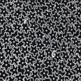 1240101796891_s4.jpg