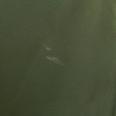 1240101801011_s6.jpg