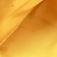 1240101806571_s10.jpg