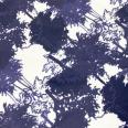 1241003001849_s3.jpg
