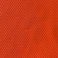 1241003001939_s7.jpg
