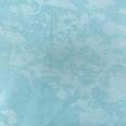 1241003002383_s4.jpg